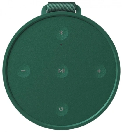 Акустическая система Bang & Olufsen Beosound Explore зеленый